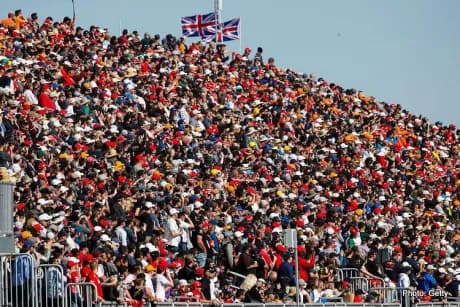 Formula 1 fan