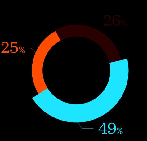 Three-segment donut chart, 25 / 26 / 49
